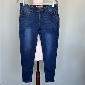 Democracy Blue Jeggings with Stretch and Tapered Leg